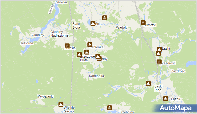 mapa Lisiny gmina Śliwice, Lisiny gmina Śliwice na mapie Targeo