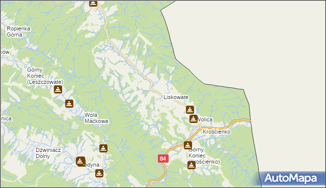 mapa Liskowate, Liskowate na mapie Targeo