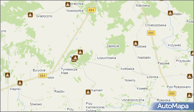 mapa Łopuchówka, Łopuchówka na mapie Targeo