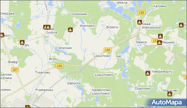 mapa Łopuchowo gmina Murowana Goślina, Łopuchowo gmina Murowana Goślina na mapie Targeo