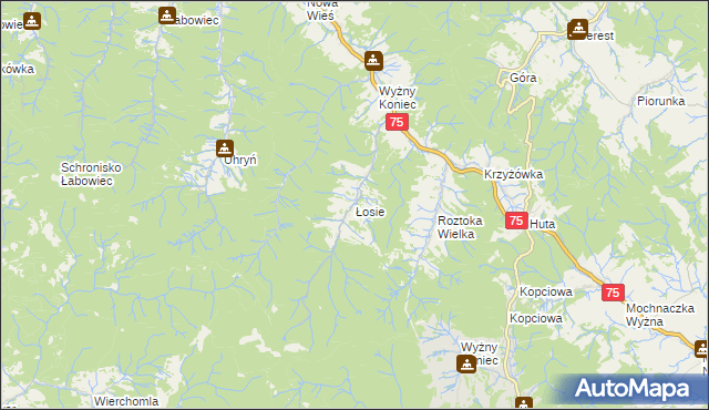 mapa Łosie gmina Łabowa, Łosie gmina Łabowa na mapie Targeo