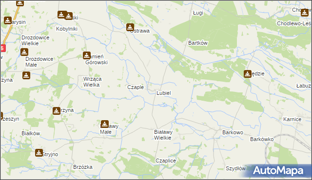 mapa Lubiel, Lubiel na mapie Targeo