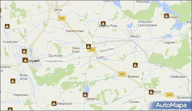 mapa Lubiń gmina Krzywiń, Lubiń gmina Krzywiń na mapie Targeo