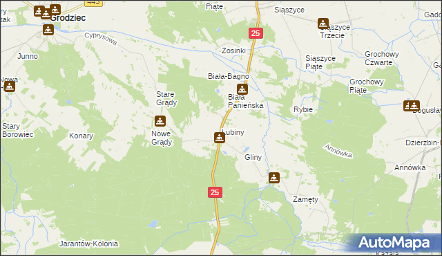 mapa Lubiny gmina Rychwał, Lubiny gmina Rychwał na mapie Targeo