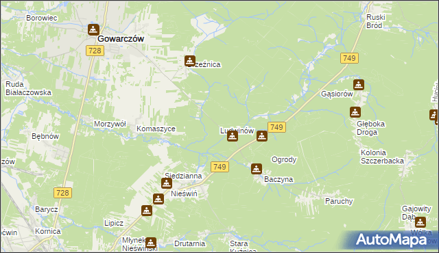 mapa Ludwinów gmina Gowarczów, Ludwinów gmina Gowarczów na mapie Targeo