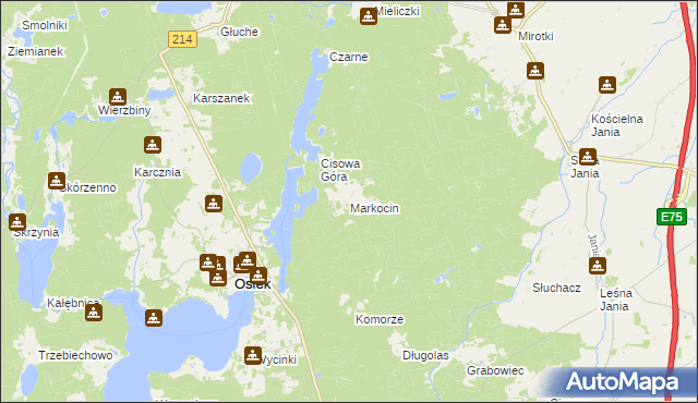 mapa Markocin gmina Osiek, Markocin gmina Osiek na mapie Targeo