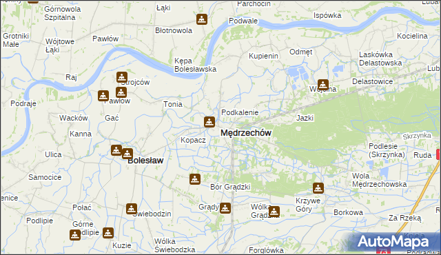 mapa Mędrzechów, Mędrzechów na mapie Targeo