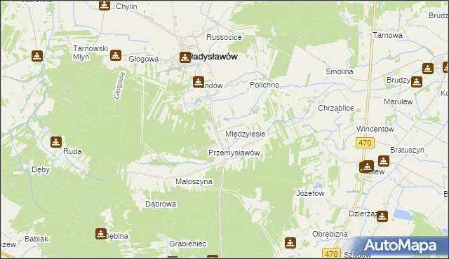 mapa Międzylesie gmina Władysławów, Międzylesie gmina Władysławów na mapie Targeo