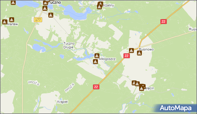 mapa Miłogoszcz gmina Tuczno, Miłogoszcz gmina Tuczno na mapie Targeo