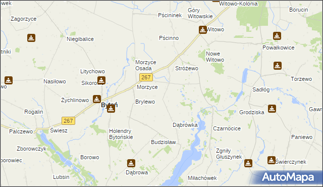 mapa Morzyce Kolonia, Morzyce Kolonia na mapie Targeo