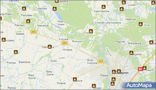 mapa Nagodów gmina Gostynin, Nagodów gmina Gostynin na mapie Targeo