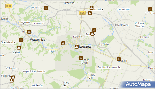 mapa Nałęczów powiat puławski, Nałęczów powiat puławski na mapie Targeo