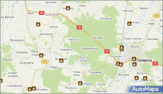 mapa Napoleonów gmina Poddębice, Napoleonów gmina Poddębice na mapie Targeo