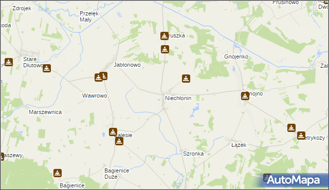 mapa Niechłonin, Niechłonin na mapie Targeo