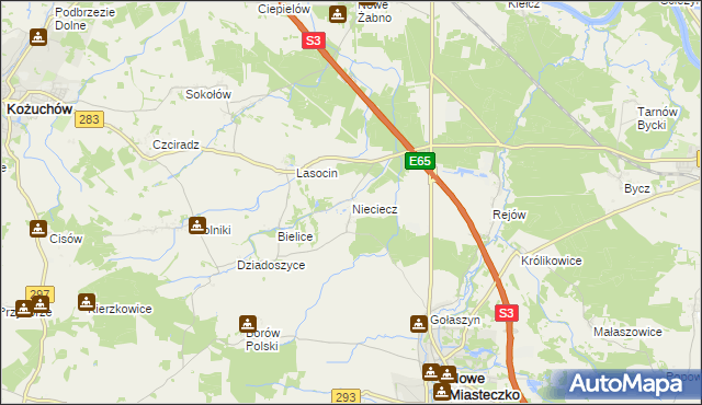 mapa Nieciecz gmina Nowe Miasteczko, Nieciecz gmina Nowe Miasteczko na mapie Targeo