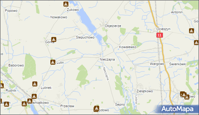 mapa Nieczajna, Nieczajna na mapie Targeo