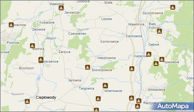 mapa Nieszkowice gmina Strzelin, Nieszkowice gmina Strzelin na mapie Targeo