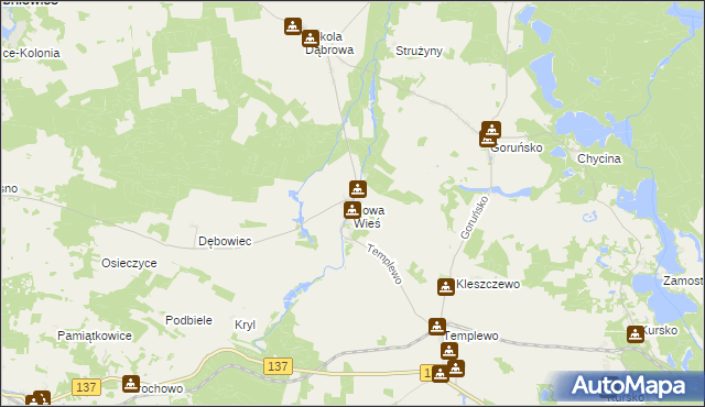 mapa Nowa Wieś gmina Bledzew, Nowa Wieś gmina Bledzew na mapie Targeo