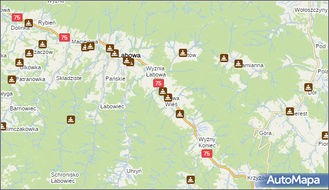 mapa Nowa Wieś gmina Łabowa, Nowa Wieś gmina Łabowa na mapie Targeo