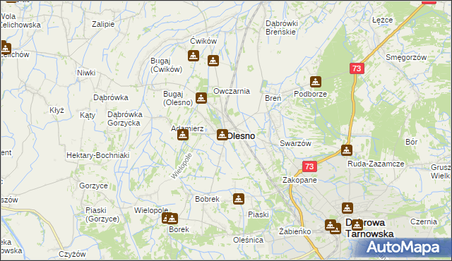 mapa Olesno powiat dąbrowski, Olesno powiat dąbrowski na mapie Targeo