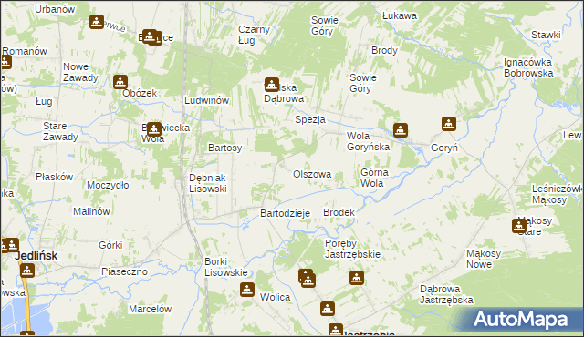 mapa Olszowa gmina Jastrzębia, Olszowa gmina Jastrzębia na mapie Targeo