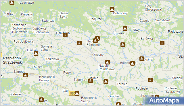 mapa Olszyny gmina Rzepiennik Strzyżewski, Olszyny gmina Rzepiennik Strzyżewski na mapie Targeo