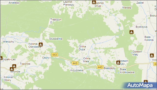 mapa Orlina Duża, Orlina Duża na mapie Targeo