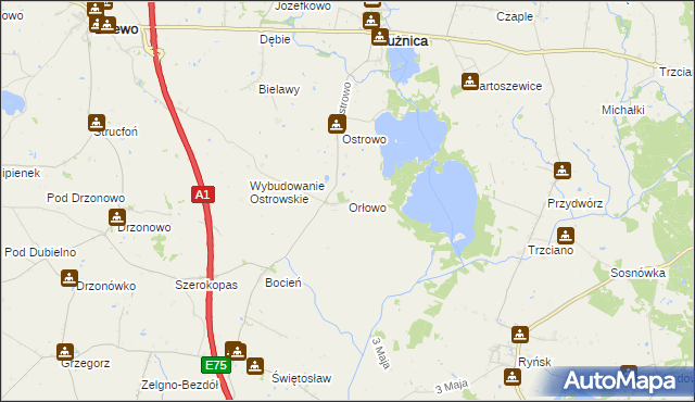 mapa Orłowo gmina Płużnica, Orłowo gmina Płużnica na mapie Targeo