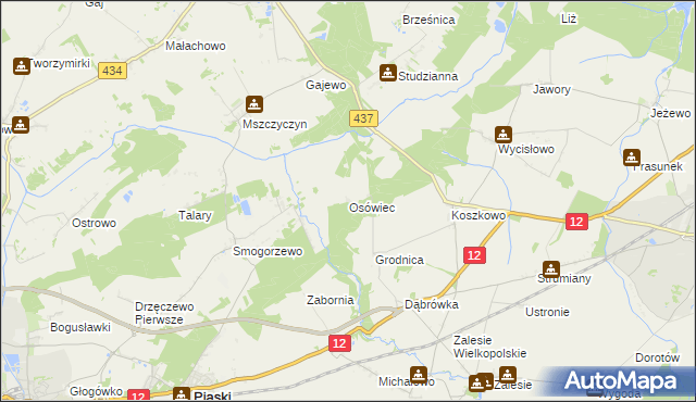 mapa Osówiec gmina Borek Wielkopolski, Osówiec gmina Borek Wielkopolski na mapie Targeo