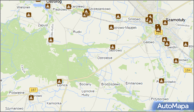 mapa Ostrolesie, Ostrolesie na mapie Targeo