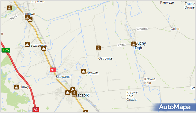 mapa Ostrowite gmina Suchy Dąb, Ostrowite gmina Suchy Dąb na mapie Targeo