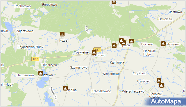 mapa Otorowo gmina Szamotuły, Otorowo gmina Szamotuły na mapie Targeo