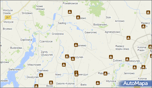 mapa Paniewo gmina Topólka, Paniewo gmina Topólka na mapie Targeo