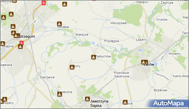 mapa Pastuchów, Pastuchów na mapie Targeo