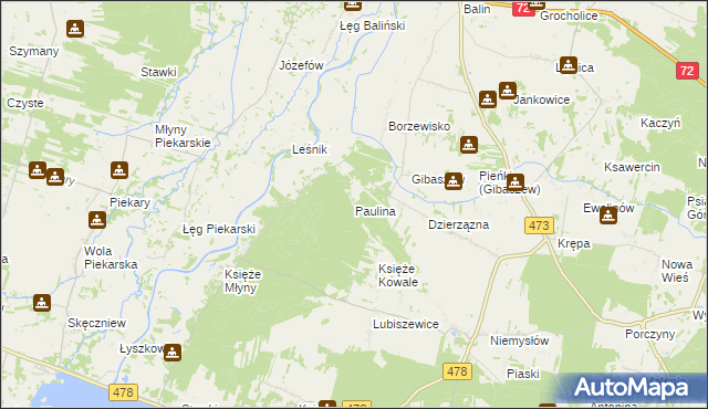 mapa Paulina gmina Poddębice, Paulina gmina Poddębice na mapie Targeo