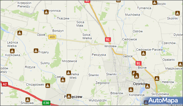 mapa Pełczyska gmina Ozorków, Pełczyska gmina Ozorków na mapie Targeo