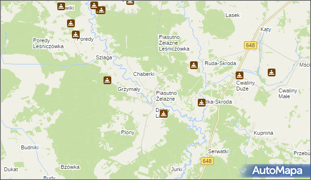 mapa Piasutno Żelazne, Piasutno Żelazne na mapie Targeo