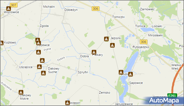 mapa Piekary gmina Stęszew, Piekary gmina Stęszew na mapie Targeo