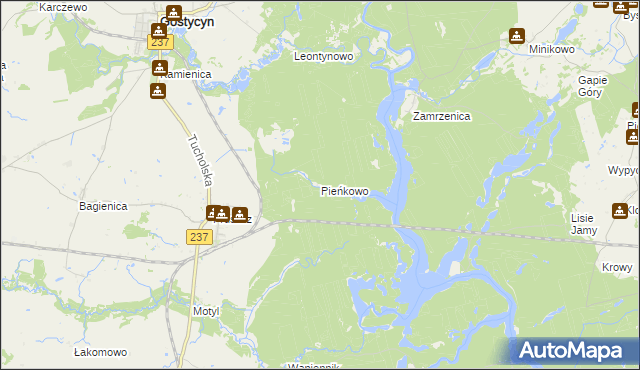 mapa Pieńkowo gmina Gostycyn, Pieńkowo gmina Gostycyn na mapie Targeo