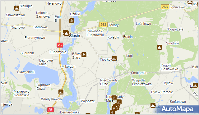 mapa Piotrkowice gmina Ślesin, Piotrkowice gmina Ślesin na mapie Targeo