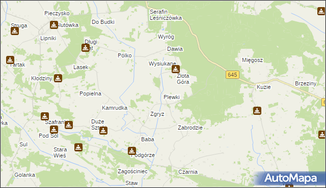 mapa Plewki gmina Łyse, Plewki gmina Łyse na mapie Targeo