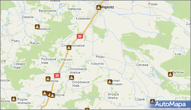 mapa Płoski, Płoski na mapie Targeo