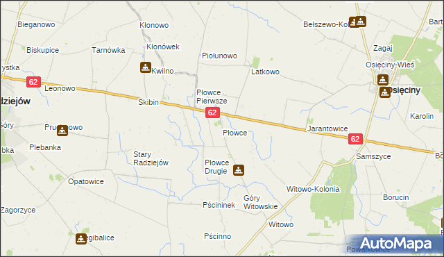 mapa Płowce gmina Radziejów, Płowce gmina Radziejów na mapie Targeo