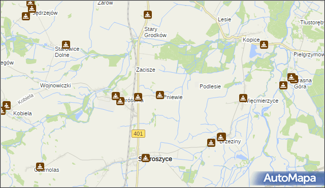 mapa Pniewie gmina Skoroszyce, Pniewie gmina Skoroszyce na mapie Targeo