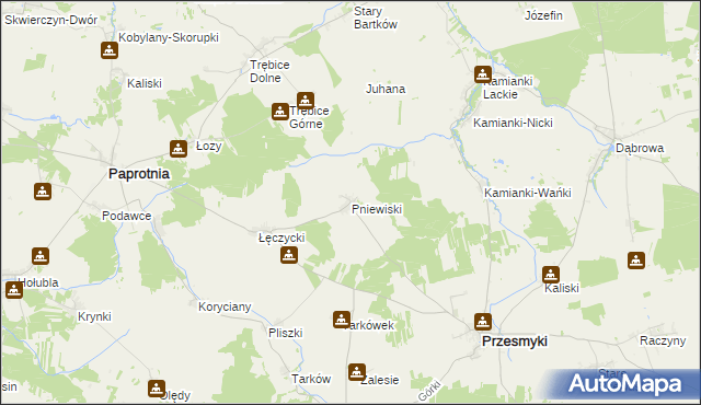 mapa Pniewiski, Pniewiski na mapie Targeo