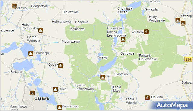 mapa Pniewy gmina Gąsawa, Pniewy gmina Gąsawa na mapie Targeo