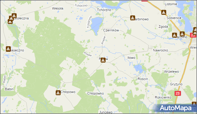 mapa Pniów gmina Myślibórz, Pniów gmina Myślibórz na mapie Targeo