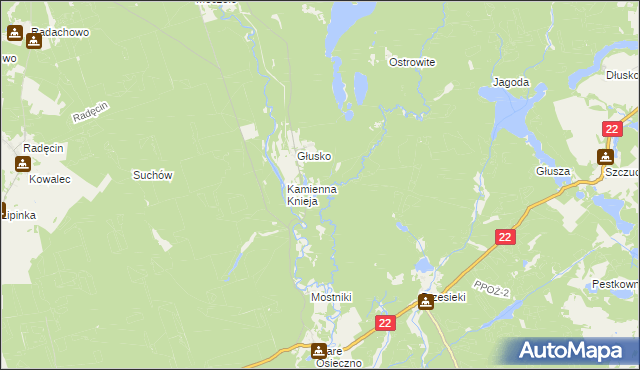 mapa Podszkle gmina Dobiegniew, Podszkle gmina Dobiegniew na mapie Targeo