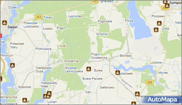 mapa Pogoń Gosławicka, Pogoń Gosławicka na mapie Targeo