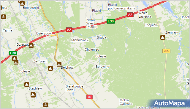 mapa Polesie gmina Nieborów, Polesie gmina Nieborów na mapie Targeo